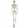  Cadru suspendat Fiestas Guirca din plastic 160 cm
