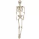  Cadru suspendat Fiestas Guirca din plastic 160 cm