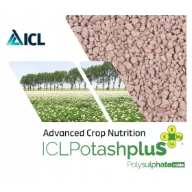  ICL îngrășământ granulat 20 kg
