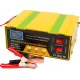  INCARCATOR AUTOMAT DE BATERIE 12V 24V FUNCTIE DE REPARATIE