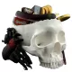  CRANIU BOL DULCE DECORATIE DE HALLOWEEN IN FORMA DE CRANIU