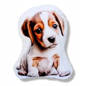    Câine drăgălaș, mascota câine, pernă cu un cățeluș Jack Russell
