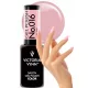  Lac de culoare hibrid Victoria Vynn 016 Fairy Tale 8 ml