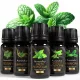  Set uleiuri esentiale 100% naturale 50ml BIO