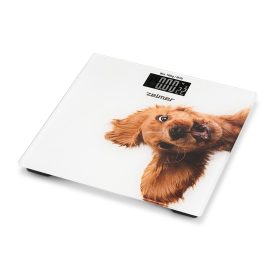  Cântar de baie Zelmer ZBS1010