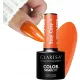  OJA HIBRID CLARESA ORANGE DOVLECE RĂMÂNĂ COZY 4