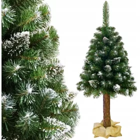    BRAD DE CRACIUN ARTIFICIAL PE TRUNCHI DE PIN DIAMANT 100 cm TRUNCHI NATURAL