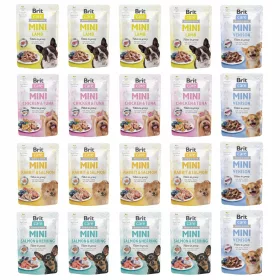  BRIT CARE MINI hrana umeda pentru caini mix de arome 20x85g