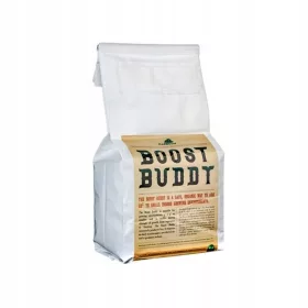  GENERATOR CO2 BOOST BUDDY