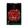  LEGO ICONS 10328 Buchet de trandafiri