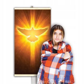    Incalzire electrica cu infrarosu Regulator EasyHeater 430W Duhul Sfant