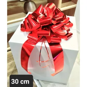    Arc de bicicleta 30 cm / Cadou / Decorativ / Frumos - Singurul de acest fel de pe piata