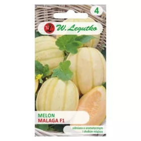  Seminte de Pepene Cucumis Melo Malaga 0,5g Legutko Grc7