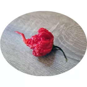    Semințele de ardei iute Beast Red MEGA HOT sunt mai bune decât Carolina Reaper