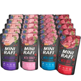  Dolina Noteci RAFI MINI Curcan 10x150g