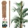  SUPORT PLANTE 140CM FIBRĂ DE COCOS STÂL DE LUPTA 3.2 ȚĂPĂ DE COCOS