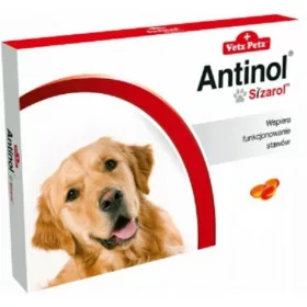  Antinol Sizarol 120 capsule PENTRU ARTICULAȚII