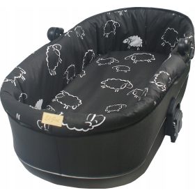  INSERȚIE RIGIDA PENTRU UN GODDOL CU O OAIE CU FERMOARE