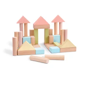  Bloc de jucărie PlanToys 5507