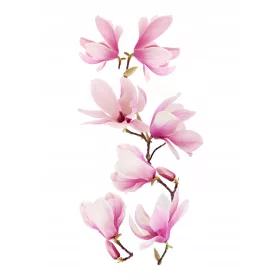   Autocolante de perete, oglinda, mobila, flori, flori, Magnolia autoadeziva
