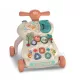  Walker interactiv multifuncțional Ride-On Push Walker
