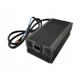  RECTIFICATOR CU LITIU LiFePO4. 12V 20A