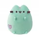  PUSHEEN MINT cu o mascota de inimă 19cm HAPPY