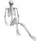  SCHELETOR SKELETOR HALLOWEEN SCHELET 165cm