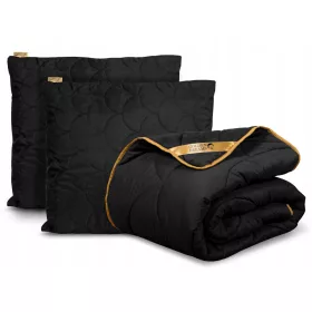    CURTĂ ANTIALERGIC PENTRU TOATE AZOMNELE 200x220 RESPIRABIL +2 SET PERNE PL