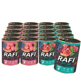  Dolina Noteci RAFI JUNIOR Mix de arome 20x400g