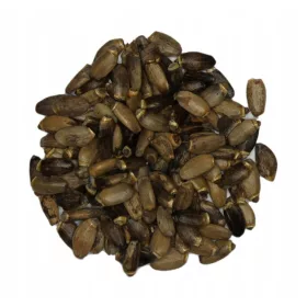  Ciulin de lapte - seminte - 1000g 1kg