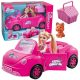  SET PĂPUȘĂ CU MAȘINĂ COȘ DE PICNIC ROZ CĂȚI CUTE