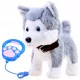  CÂINELE HUSKY INTERACTIV SE UMBĂ ÎN LESĂ ȘI LATRA