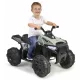  Quad Feber 12541 Negru, Verde