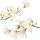  Autocolante de perete mobila flori albe tufa Autocolant magnolie alba
