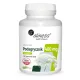 Supliment Alimentar Aliness Podagrycznik Extract 10:1, 400mg, 100 Capsule - Vegan