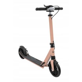    Trotineta de oras pliabila cu doua roti pentru copii Original SPORTRIKE 2024