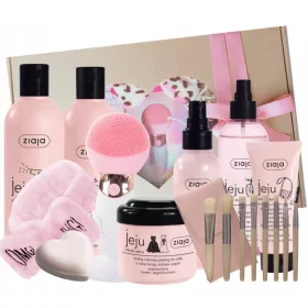    SET CADOU ROZ ZIAJA JEJU PENTRU UN ADOLESCENT intr-un ambalaj decorativ