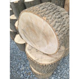    STAMPA CENSUA STAMPA CENSUA FOARTE DURA SANATOS PUTERNIC 46-56