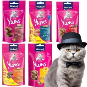  Vitakraft Cat Yums Brânză pentru pisici 40g