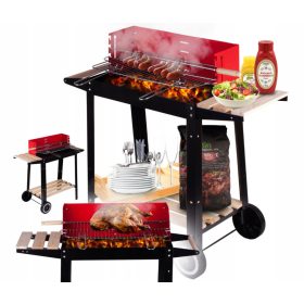    GRĂTAR DE GRADINA PE ROTI, RAFTURI, GRIL BRIQUETE BBQ, solid