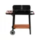  GRARA CARBUNE LUND GARDEN CU GRIL LATERAL 48X26.5CM