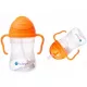  B.Box BB00509 sticla cu pai 240 ml portocaliu