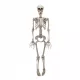  DECORATIE SCHELETE SCHELET DE HALLOWEEN 90 CM