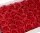  Sapun Ancient Wisdom Rose 1000 ml 1000 g