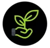 Set de start pentru pădure în sticlă cu nisip și pietriș, 13 piese