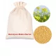  Seminte de mustar alb melifer 10 kg