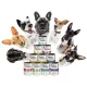  DOLINA NOTECI SET PREMIUM mix de arome 10x 800g