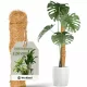  Suport plante bambus 120 cm 1 buc.