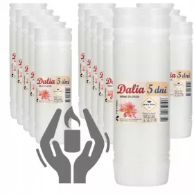   Insert Parafin pentru Lumânări Comemorative Dalia 5 - Pachet de 17 Bucăți